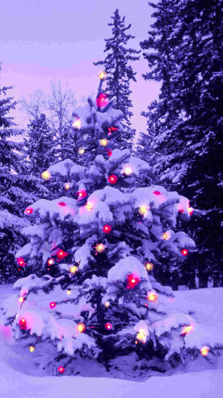 Christmas iPhone Wallpaper
