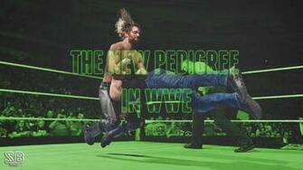 Pedigree In Wwe Wallpaper Seth Rollins By Sebaz316 Fan Art