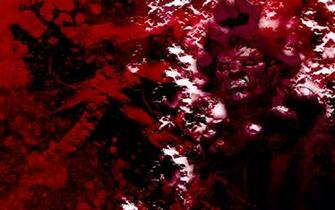 Akuma Wallpaper 1080p By Amranth