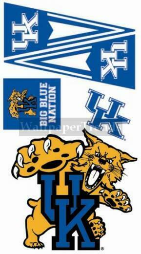 Kentucky Wildcats Wallpaper Of Wall