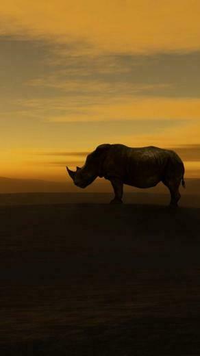 Tap And Get The App Animals Silhouette Terracotta Rhino