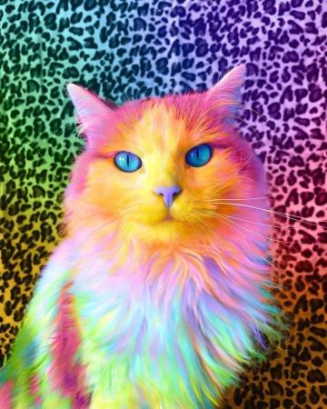 Animals The Magnificent Rainbow Makeover Edition