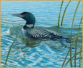April Loons On The Lake Art Lang Wallpaper Desktop Bac