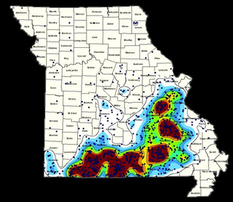 Click Here For Black Bear Fact Sheet