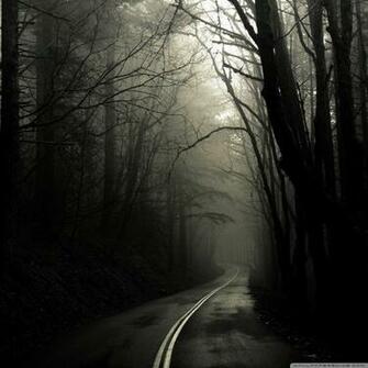 Dark Road Forest 4k HD Desktop Wallpaper For Ultra Tv