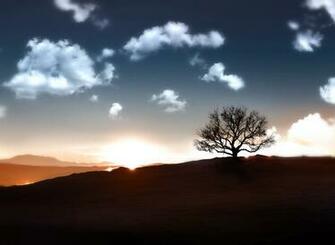 Asus Transformer Prime Default Wallpaper Image