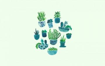 Plant Aesthetic Laptop Wallpaper On