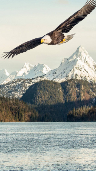 America iPhone Wallpaper