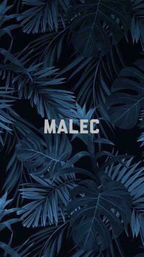 Malec Shadowhunterswallpaper Alec Magnus Shadowhunters