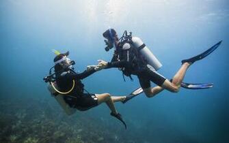 All Inclusive Adults Resorts Jamaica Photo Gallery Couples