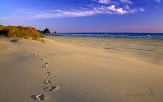 Fantastic Sandy Beach Wallpaper Full HD