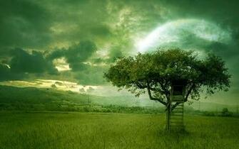 Kindle Fire HD Wallpaper Ppt Garden