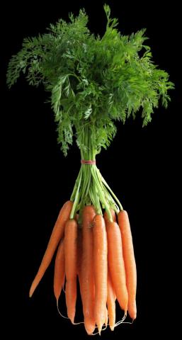 Carat Fruits And Vegetables Image Carrots