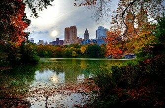 Central Park Wallpaper