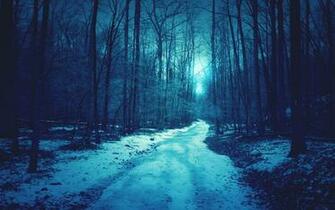 Forest Path HD Wallpaper Theme Bin Customization