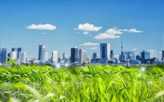 Nature Digital Art HD Wallpaper