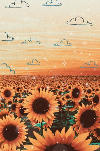 Sunflower Aesthetic Wallpaper