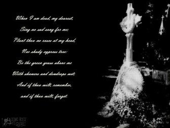 Funny Dog Sayings HD Wallpaper In Imageci