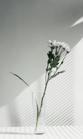 Flowers Aesthetic Pictures Image