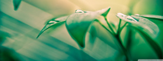 You Are Beautiful Ultra HD Wallpaper For 4k UHD Tv Desktop