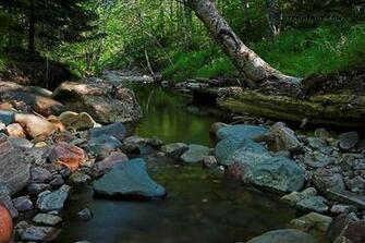 From Spring Creek In Wisconsin
