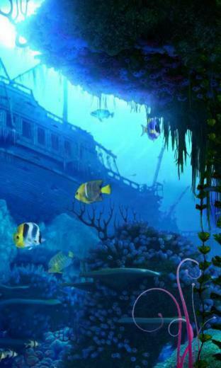 The Coral Reef Live Wallpaper For Android