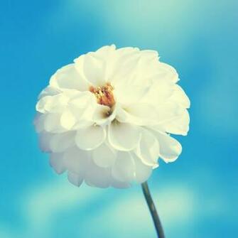 Labels HD Wallpaper Of iPad