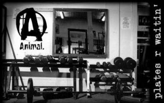 Pics Photos Image Weight Lifting Funmunch Wallpaper