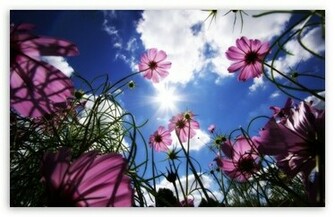 Beautiful Day Wallpaper