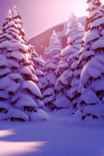 Frozen Phone Wallpaper Photo