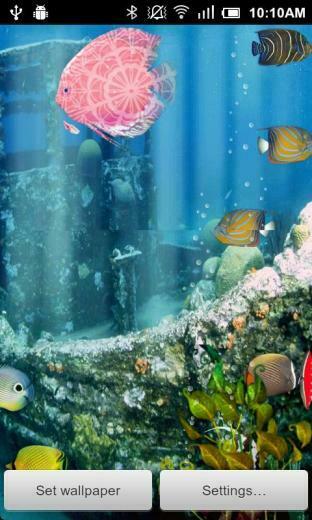 Real Aquarium Live Wallpaper Is The Most Realistic