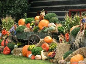 Autumn Display Scarecrow Pumpkins Wallpaper
