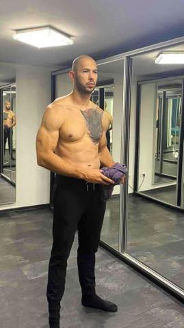 Andrew Tate Wallpaper Discover More Bodybuilding Gym