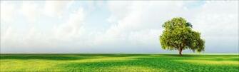 Green Magic Linkedin Background Get Some Inspiration