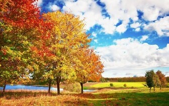 Desktop Wallpaper Fall Foliage In HD