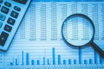 Private Investigator Fraud Investigation Background Checks