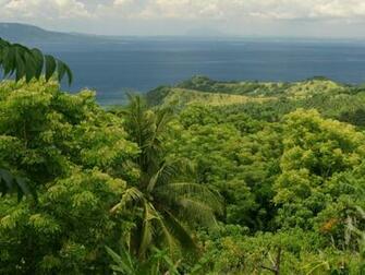 All Island Ocean S From Mindoro Philippines
