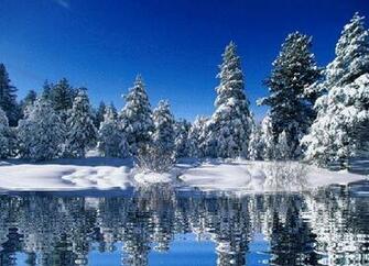Winter S Beauty Gif