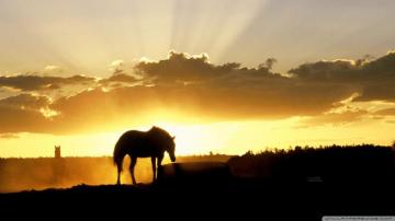 Sundown On The Farm Ultra HD Desktop Background Wallpaper For 4k