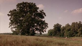 Shawshank Redemption Wallpaper