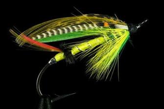 Fly Fishing Sport Wallpaper