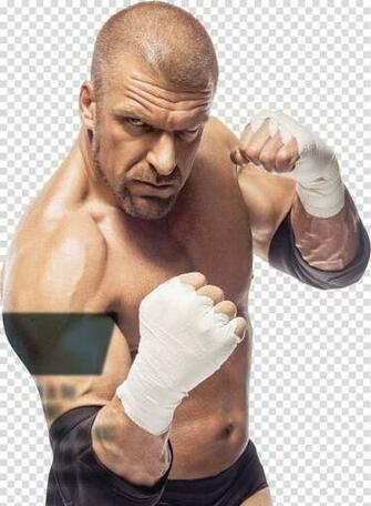 Hunter Hearst Helmsly Wwe 2k14 Wrestlemania Raw World