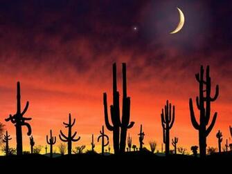 Arizona Desktop Pc And Mac Wallpaper