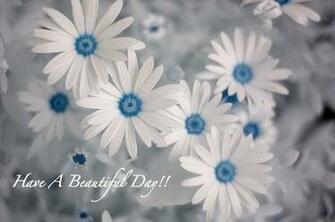 Pictures88 Good Day Exquisite Have A Beautiful Graphic
