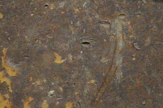 Distressed Metal Plate On Construction Equipment A