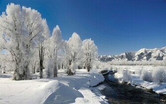 Winter Season Scenery HD Desktop Wallpaper