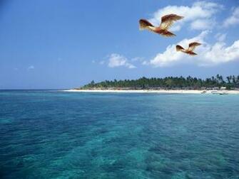 Ocean Wallpaper For Desktop Which Is Under The
