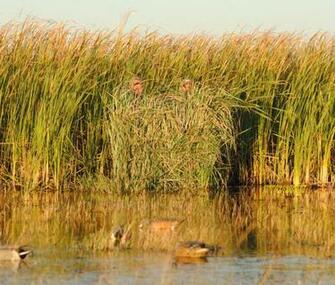 Grass Mats For Duck Blinds