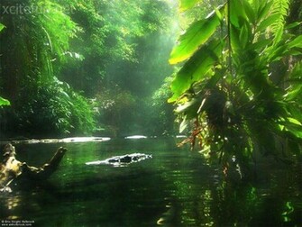 Most Beautiful Nature Wallpaper