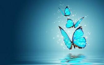 Butterflies X Widescreen Wallpaper